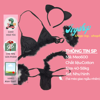 Bộ ngủ cosplay tiểu hồ ly gợi cảm, Set bikini cosplay miêu nữ, mèo đen sexy, không tất - M600  #99