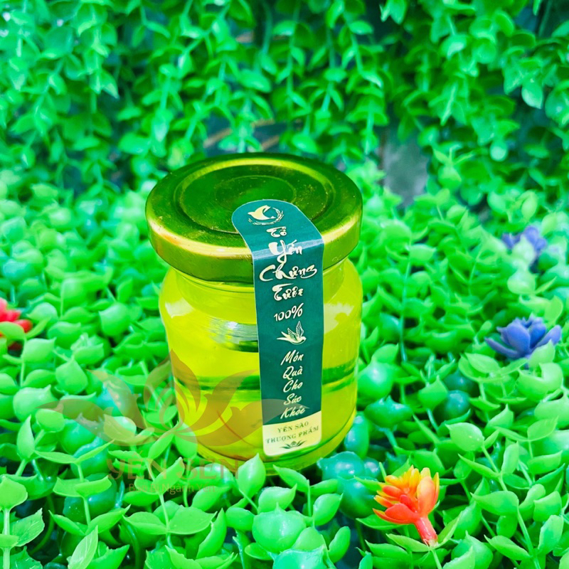 SET TEM NIÊM PHONG THON SANG TRỌNG MẪU MỚI GIÁ SIÊU RẺ