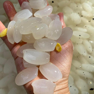 Hạt đác tươi lựa dẻo khánh hòa 1kg hột đác dẻo ngon giòn
