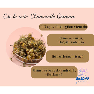 Hoa cúc la mã- Chamomile german flower