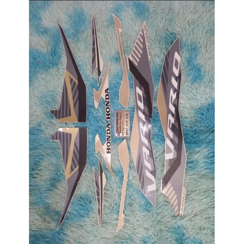 TEM IN VARIO 125 2023