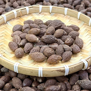 Hạt đười ươi
