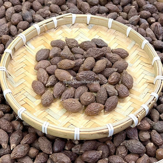 (Kho Sỉ) Hạt Đười Ươi Bay Size Lớn - hàng loại 1
