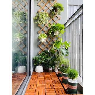 Combo 10 Kệ gỗ treo cây ban công trang trí treo cây hoa KT 140x 60 cm