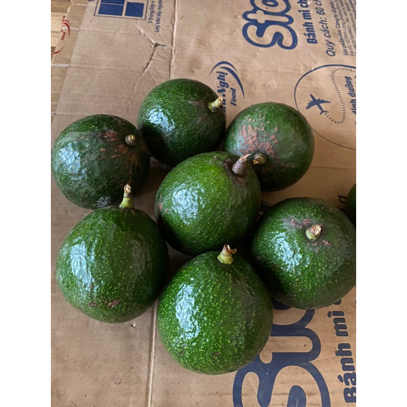 Bơ booth béo dẻo cơm vàng