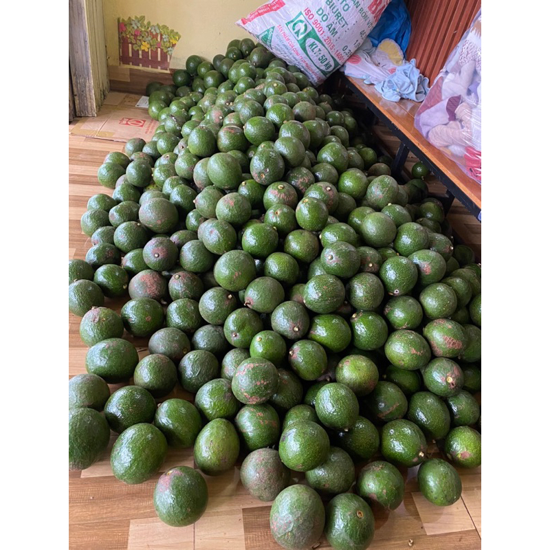 Bơ booth béo dẻo cơm vàng