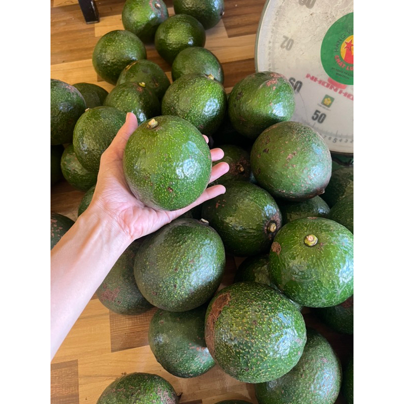 Bơ booth béo dẻo cơm vàng