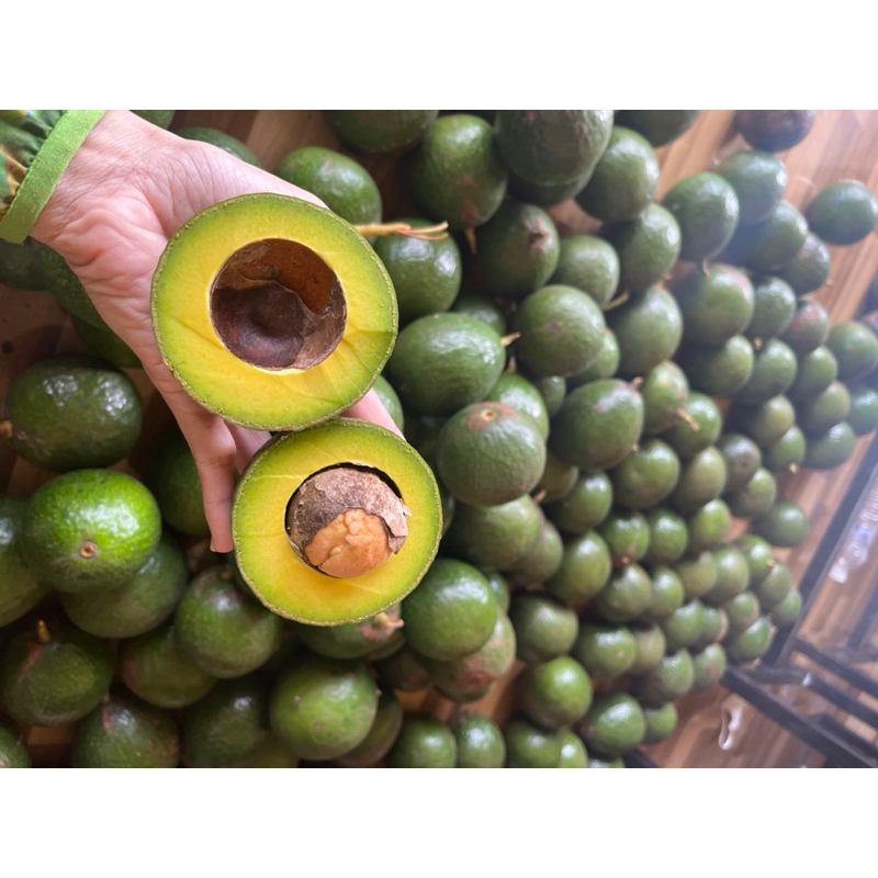 Bơ booth béo dẻo cơm vàng