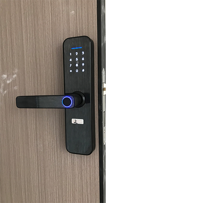 Khóa vân tay thông minh WIFI S5 tương thích Tuya hỗ trợ tiếng Việt - Dành cho cửa chung cư
