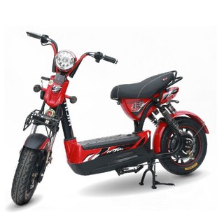 Ốp bình xe máy điện 133S