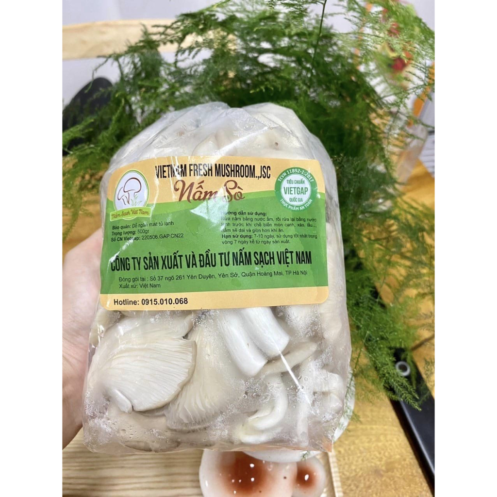 Nấm Ăn Lẩu - Nấm Sò Nâu / Trắng  | Nấm Sạch Việt Nam