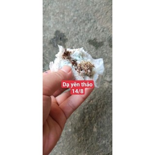 Hạt giống hoa Dạ Yến Thảo mix (gói 100 hạt)