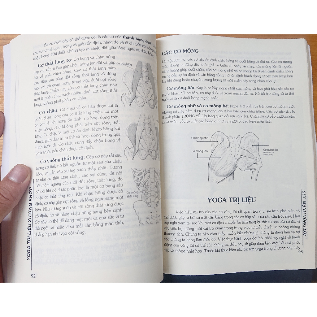 Sách Yoga trị liệu xương khớp