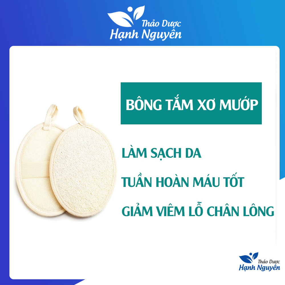 Bông tắm xơ mướp sinh dược tự nhiên, xơ mướp tẩy tế bào chết mát xa cơ thể - Thảo Dược Hạnh Nguyên