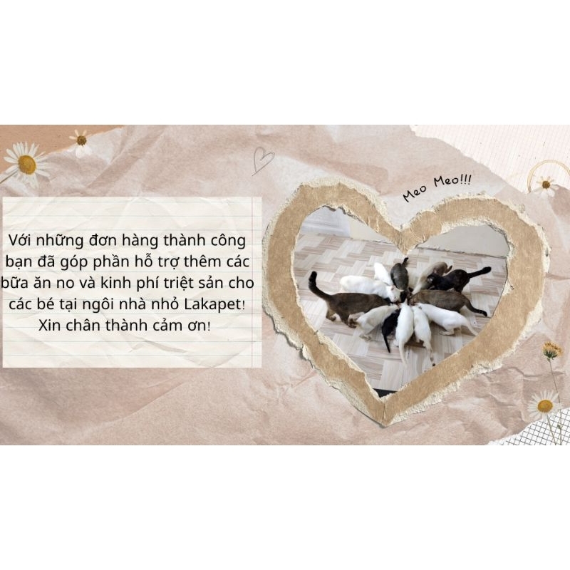 Đồ chơi cho chó mèo chuột bông lông vũ sắc màu