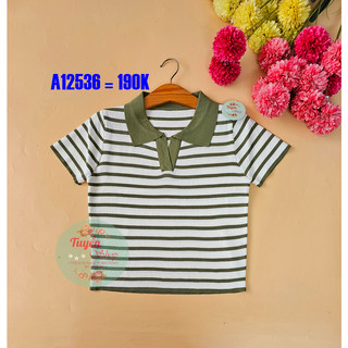 Áo len croptop cổ SM xẻ