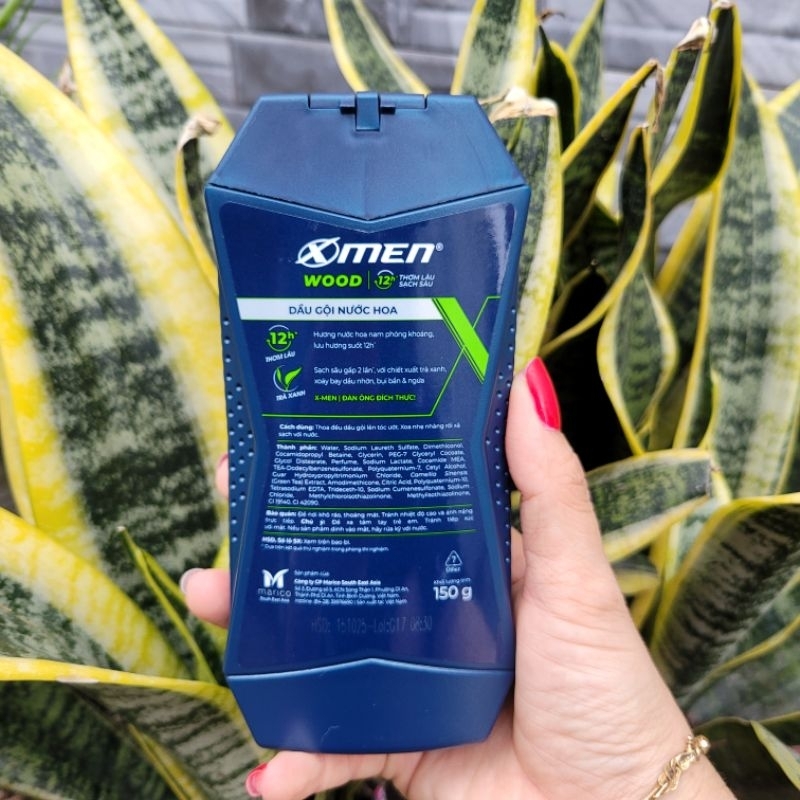 150g-Dầu Gội  Hương Nước Hoa X-Men Wood Sport Thơm lâu quyến rủ