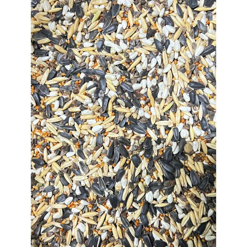 1KG Hạt Trộn Vẹt Nhỏ Và Trung