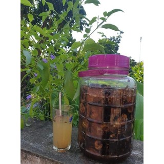 Nhàu mật ong