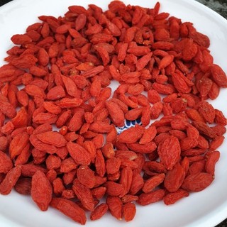 kỷ tử ninh hạ