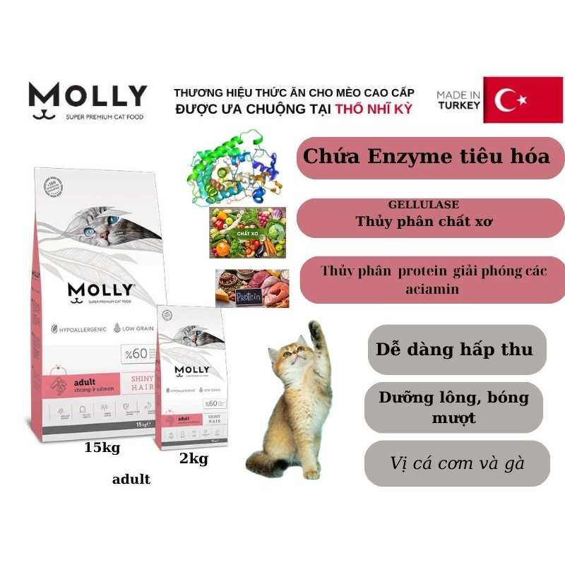 Thức Ăn Hạt Molly Cho Mèo Dưỡng Lông 2kg