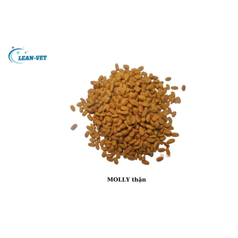 Thức Ăn Hạt Molly Cho Mèo Dưỡng Lông 2kg