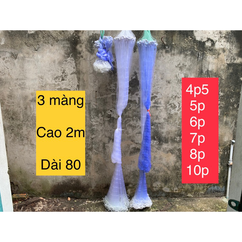 Lưới 3 màn đánh cá dạo cao 2m và 3m, dài 80m .! cở lưới 4p5, 5p, 6p, 7p, 8p, 10p !