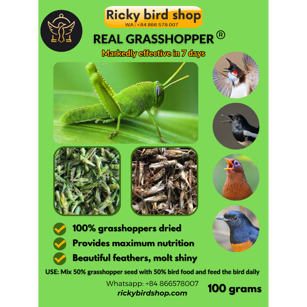 Hạt châu chấu cho chim cảnh - 100% made of grasshopper - Ricky bird shop (SG)