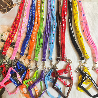 🌟🌟 Dây dắt, dây xích dạng vòng cổ cho chó mèo ( loại 1) 🌟🌟- GouMao Pet