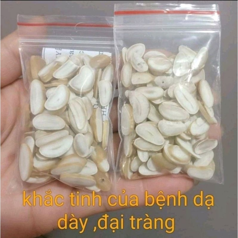 Hạt sang rừng