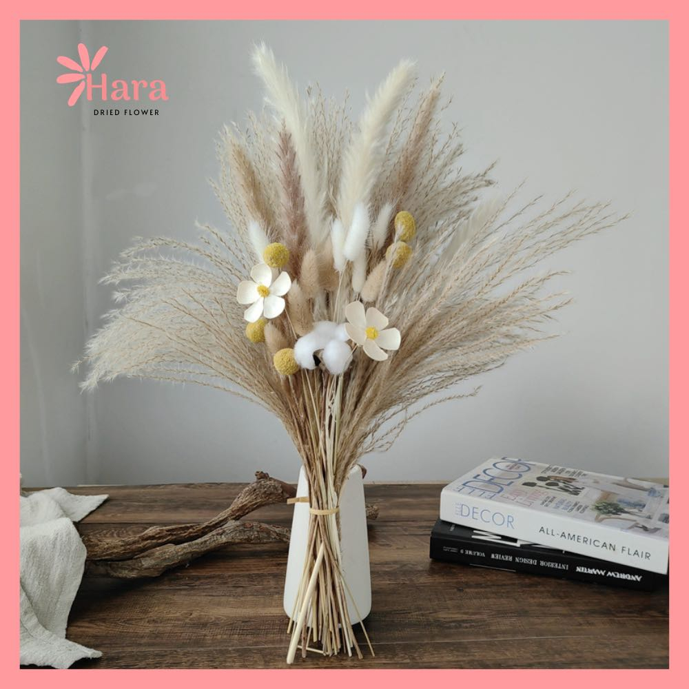 Hoa Khô Trang Trí Tự Nhiên Vintage - Hoa khô Hara - decor trang trí- Cỏ đuôi thỏ, bông lau, lúa mạch, bông gòn cắm bình