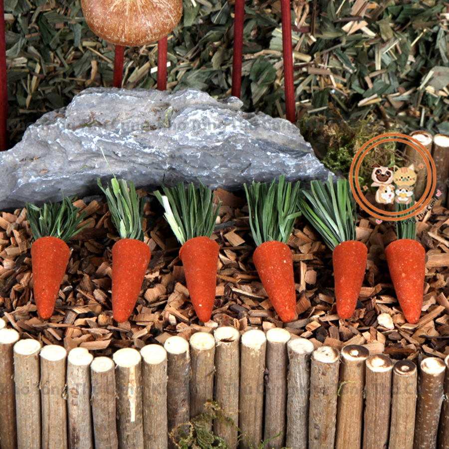 Thức ăn ,snack ăn vặt cà rốt mini mài răng Bucatstate cho hamster,sóc,thỏ,bọ,chinchilla,thú cưng,giàu dinh dưỡng,vitamin