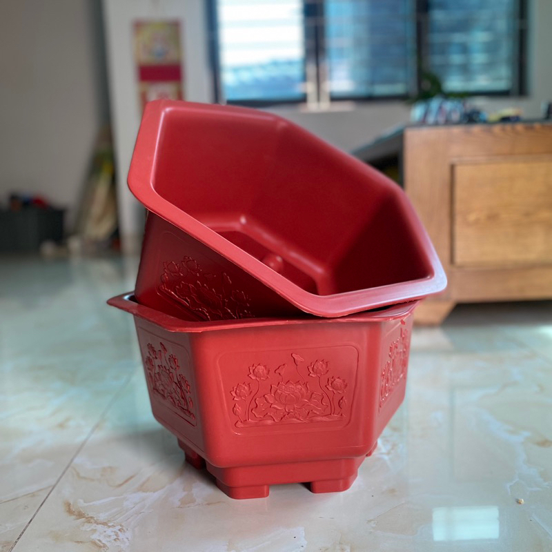 5 chậu nhựa trồng cây bonsai FAC380