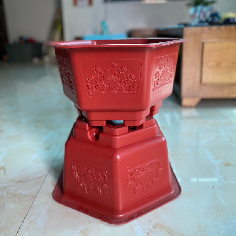 5 chậu nhựa trồng cây bonsai FAC380