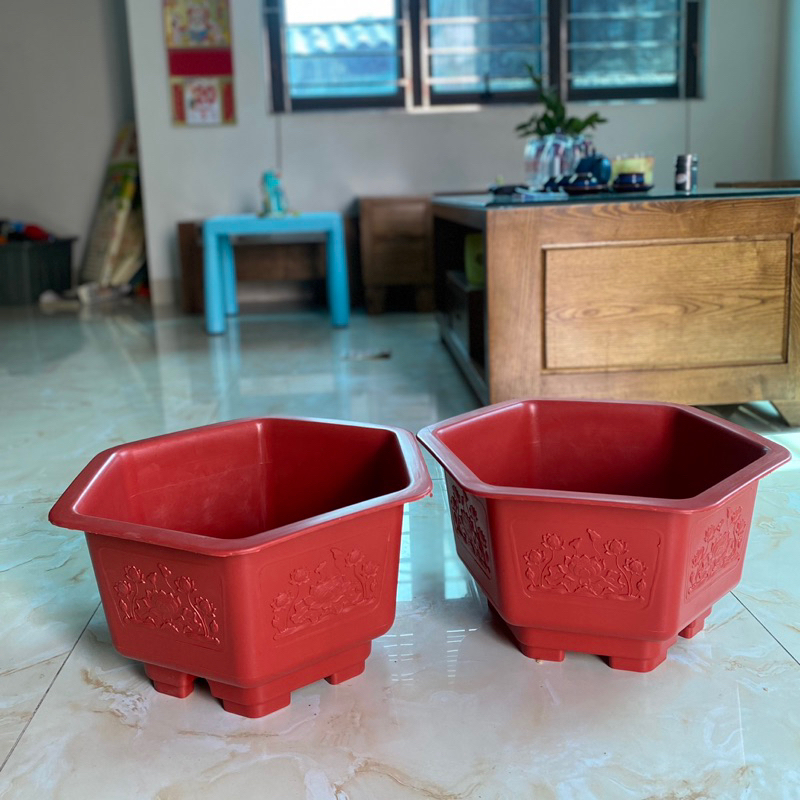 5 chậu nhựa trồng cây bonsai FAC380