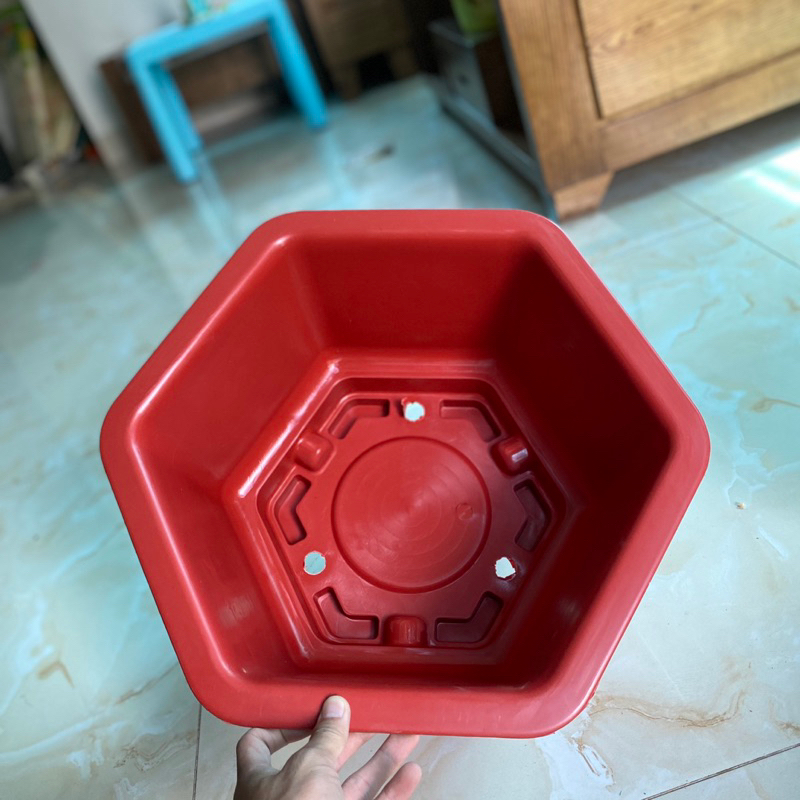 5 chậu nhựa trồng cây bonsai FAC380