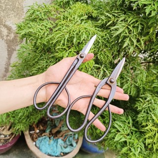 Kéo tỉa cành tỉa dăm bonsai