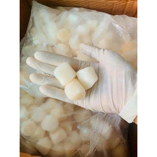 0,5kg Còi sò điêp (hoả tốc 2h tphcm)