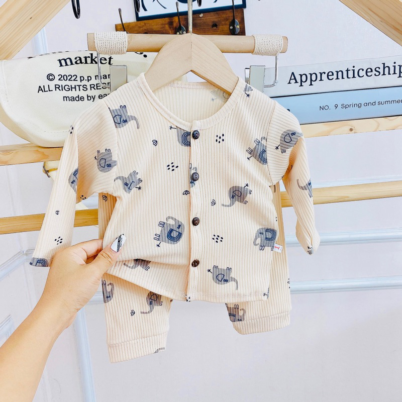 Bộ dài tay sơ sinh tăm lạnh họa tiết quần đáp đũng cho bé