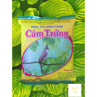 Cám trứng cho chim cảnh - thức ăn dành cho các loài chim cảnh - mồi câu cá