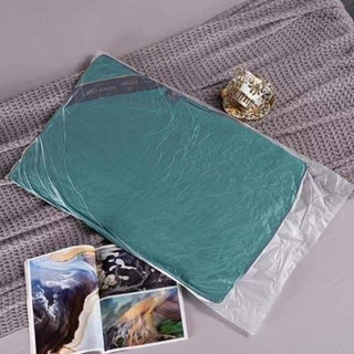 GỐI HITON CHẤT LƯỢNG 5 SAO ( 1 ĐÔI)