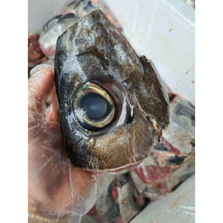 1kg Mắt cá ngừ Đại dương