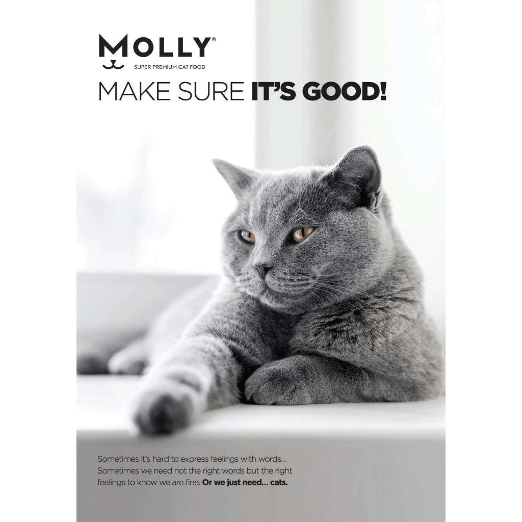 Thức Ăn Hạt Molly Cho Mèo Dưỡng Lông 2kg