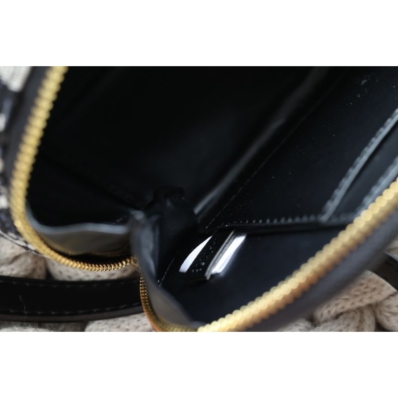 Túi Di     or case ss23