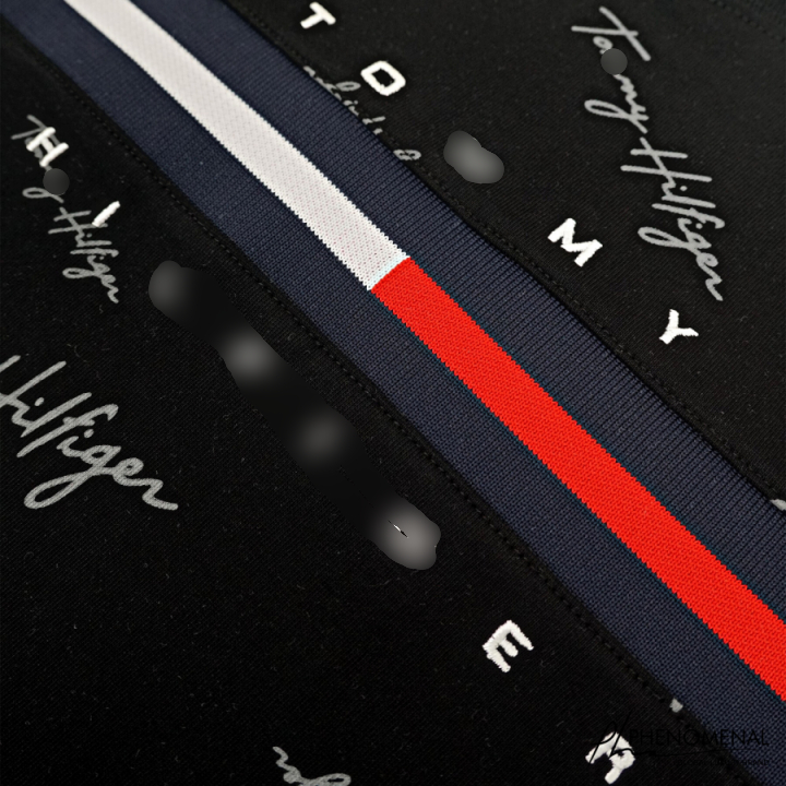 Áo thun Tommy Chữ Ký Signature Flag Logo - Logo Dệt Kim Chất 100%cotton mịn dày 250GSM nặng trên 300gram