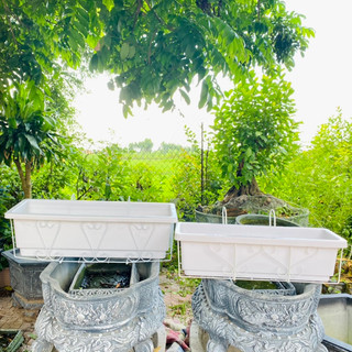 COMBO Khung Sắt và Chậu Trồng Cây dài từ 48-60-67cm, Máng Trồng Rau Treo Ban Công, Chậu Dài trồng cây chung cư sân sườn