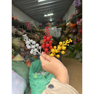 Hoa giả,chùm sung nhũ,sung làm oản