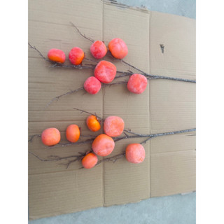 hoa giả,cành quả Hồng giả