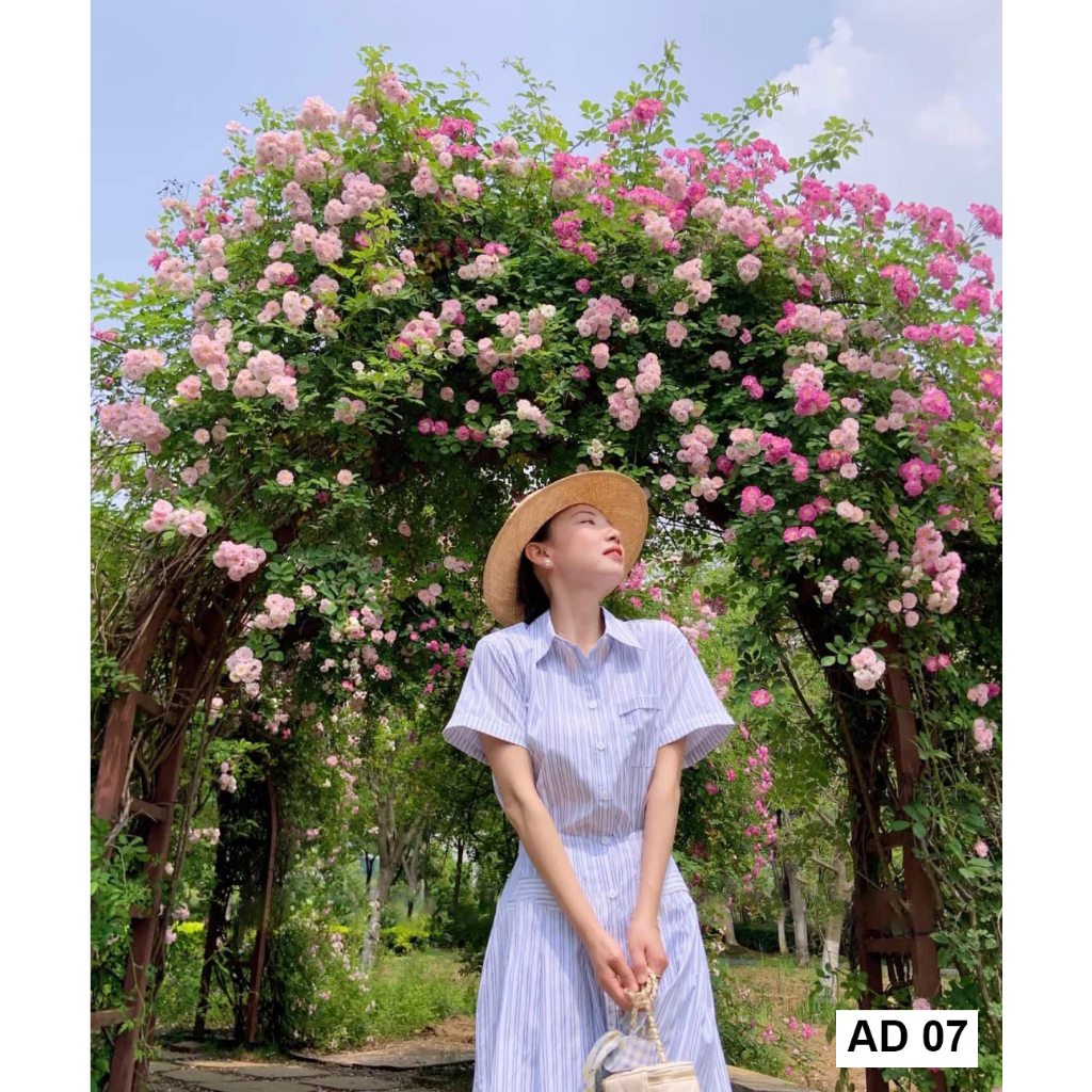 Áo váy sơ mi dáng dài nữ đầm sơ mi kẻ thắt eo công sở đi biển SD7