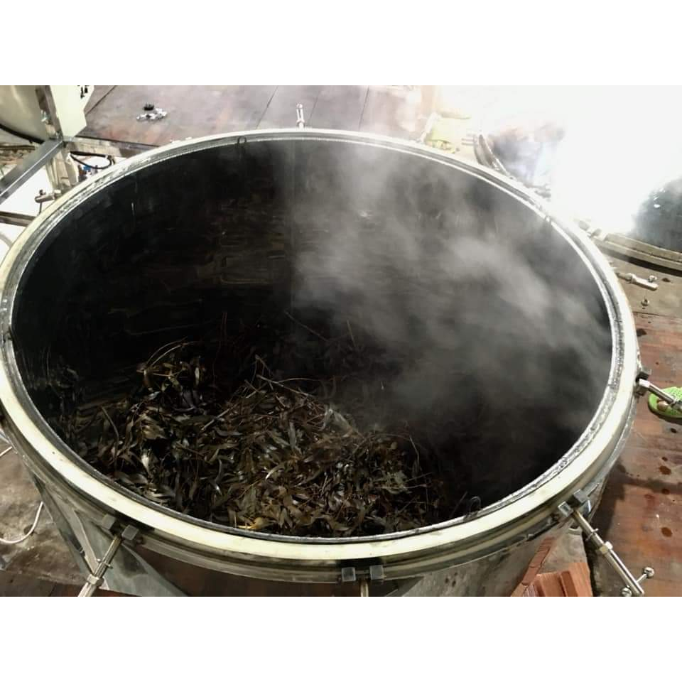 Tinh dầu Khuynh Diệp  Mộc Mây nguyên chất từ thiên nhiên, xông thơm phòng, đuổi muỗi, chăm sóc mẹ và bé